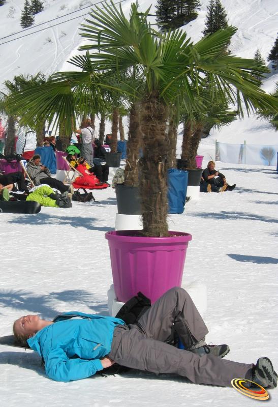 PalmenaufdenAlmen30032008SportgasteinM