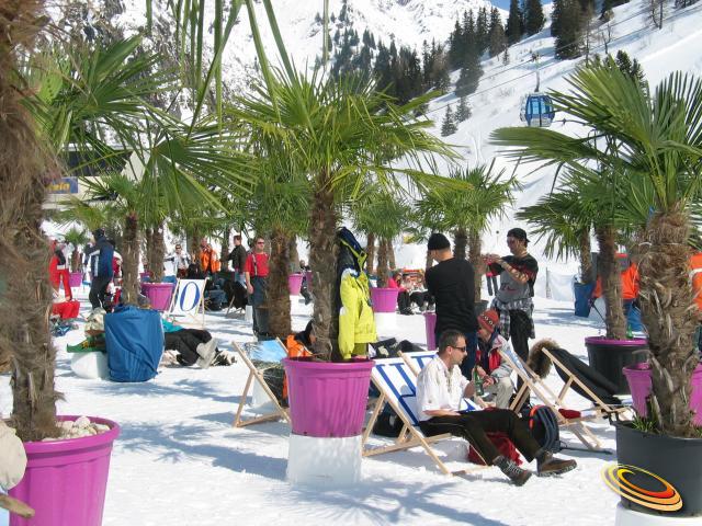 PalmenaufdenAlmen30032008SportgasteinWald