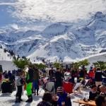 Palmen auf den Almen Gastein 2019