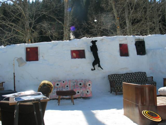 kummobajumpdog2102_0245