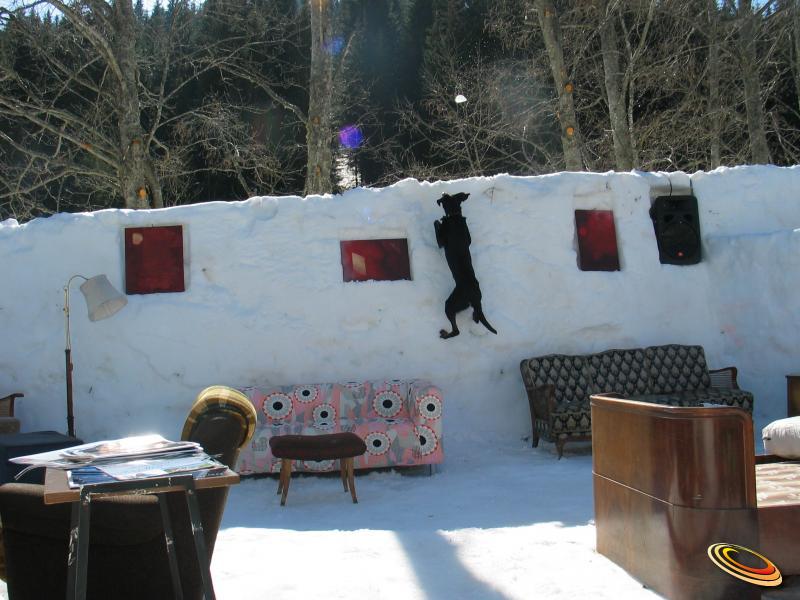 kummobajumpdog2102_0245