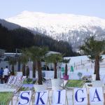 Palmen auf den Almen Gastein 2009